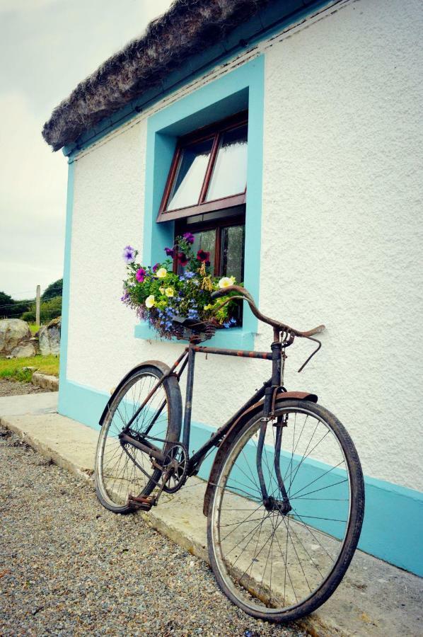 Biddys Cottage Culdaff Exteriér fotografie